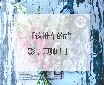 这推车的背影，真帅！